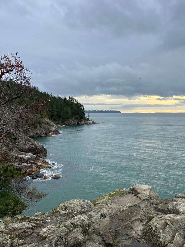 Vancouver: Lighthouse Park Hike - Final Thoughts: Who Should Consider This Tour?
