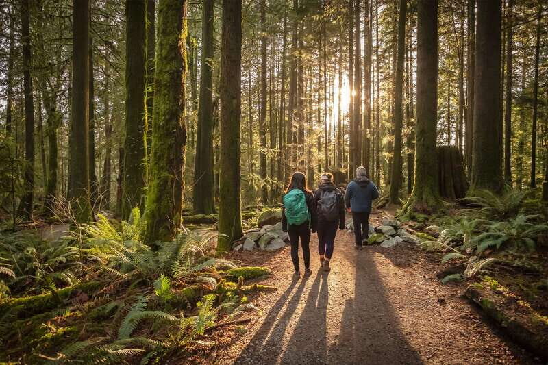 Vancouver: Lynn Valley Suspension Bridge & Nature Walk Tour - What to Expect from the Lynn Valley Suspension Bridge & Nature Walk Tour