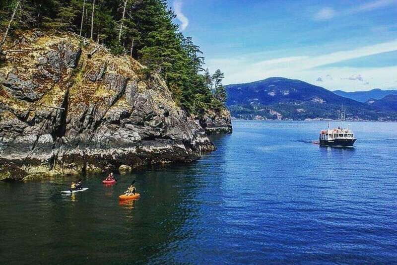 Vancouver: Morning Kayak & Seal Cruise - What to Expect from the Vancouver Morning Kayak & Seal Cruise