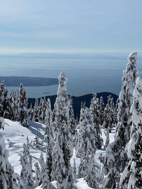 Vancouver: North Shore Mountains Snowshoeing with Transfer - Key Points