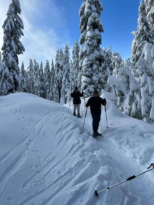 Vancouver: North Shore Mountains Snowshoeing with Transfer - What You Can Expect from the Tour