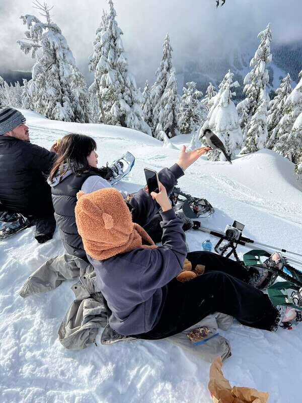 Vancouver: North Shore Mountains Snowshoeing with Transfer - Who Should Consider This Tour?