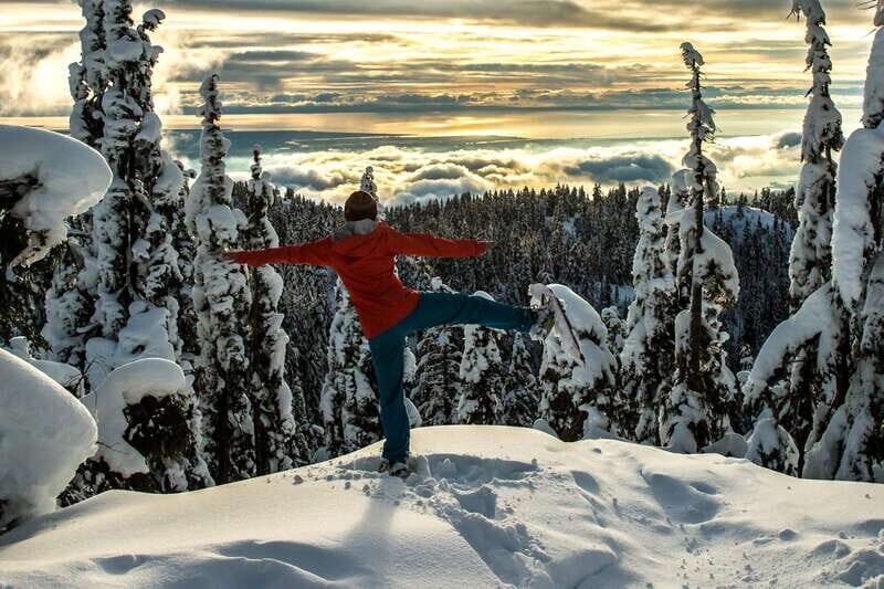 Vancouver: Panoramic View Hiking Tour - What to Expect on the Tour