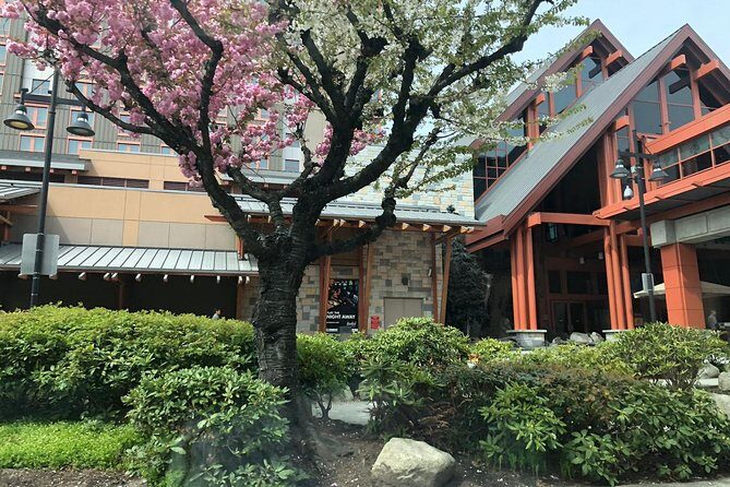 Vancouver Perfect Day Tour Grouse Mountain`& Capilano Suspention Bridge Private - Final Thoughts