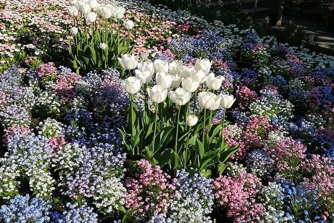 Vancouver Pre & Post Cruise Capilano & Grouse mountain tour - Frequently Asked Questions