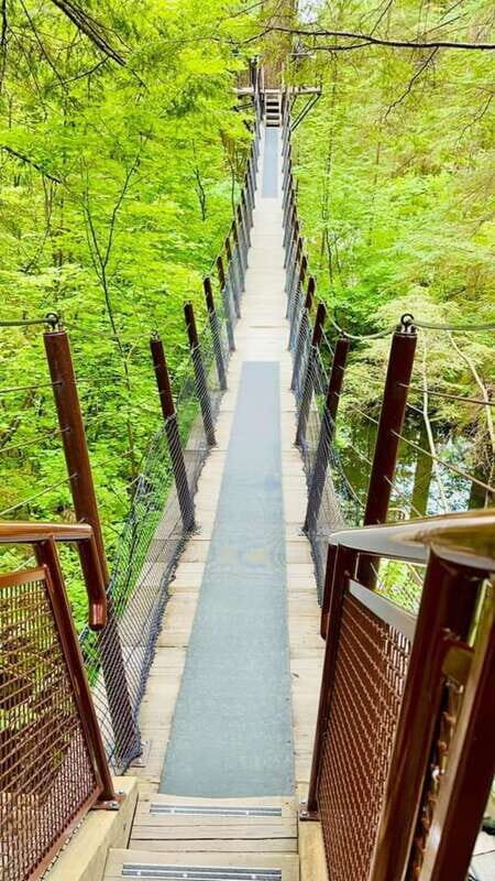 Vancouver: Private Tour City Sights, FlyOver & Capilano - Who Is It Best For?