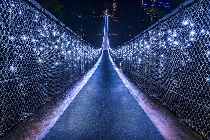 Vancouver Small Group Night Tour w/Capilano + Grouse Mtn Dinner - Who Should Consider This Tour?