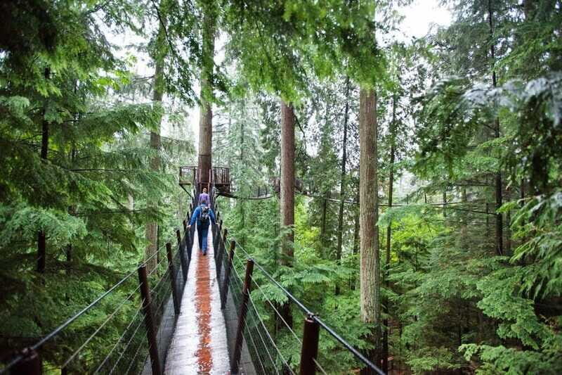 Vancouver: Small Group Tour w/Capilano & Grouse Mtn Lunch - Pricing and Value