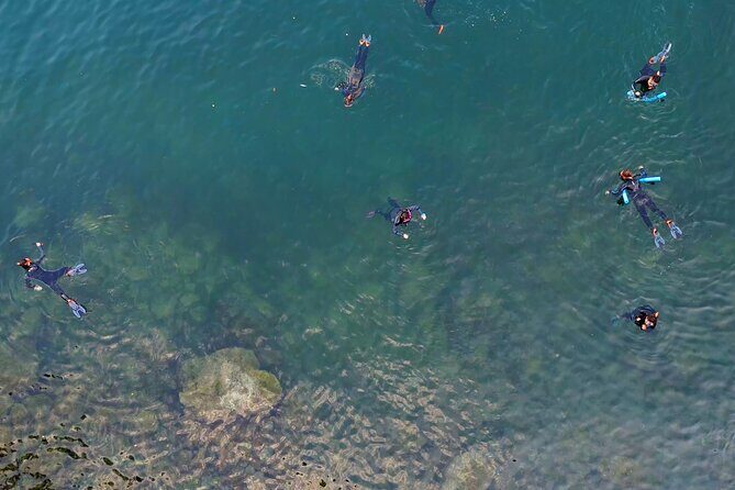 Vancouver: Snorkeling Seals Kayaking Scenic Boat Tour - Who Should Consider This Tour?