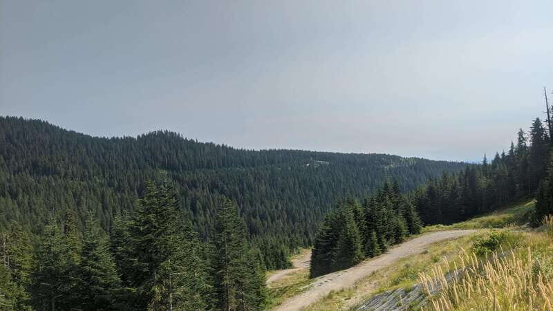 Vancouver, Squamish, Cypress Mountain Day Tour - What Reviewers Say