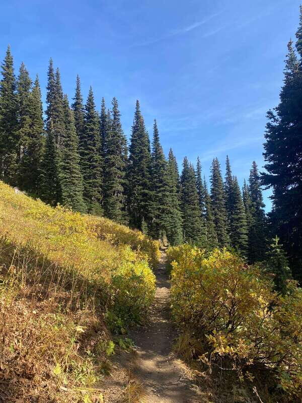 Vancouver/Squamish: Garibaldi Park Panorama Ridge Hike - Key Points