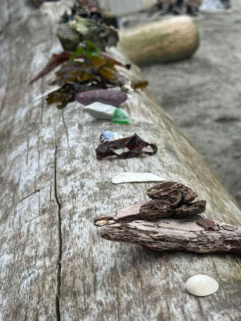 Vancouver: Stanley Park Salish Sea & Me - An Honest Look at the Stanley Park Salish Sea & Me Tour