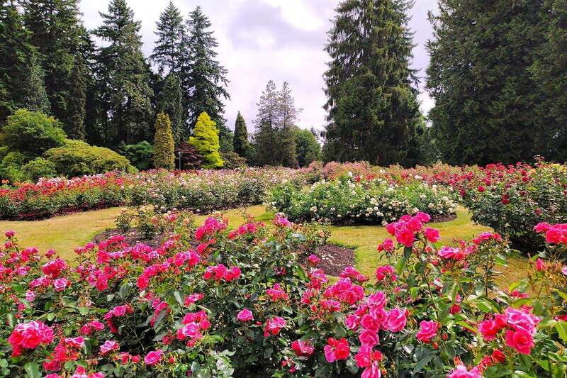 Vancouver The Grand City Tour - The Experience and Value