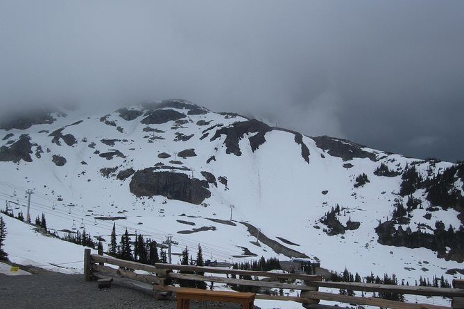 Vancouver, Victoria & Whistler 3 days in one Combo Tour. - Who Would Love This Tour?