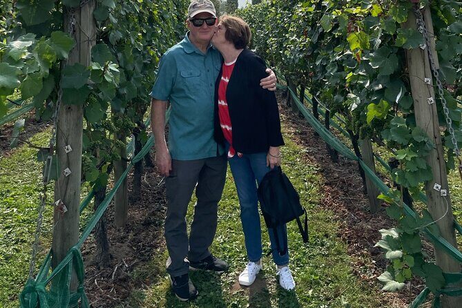 Vancouver Wine Tour (Fraser Valley) - The Experience: What You’ll Feel and See