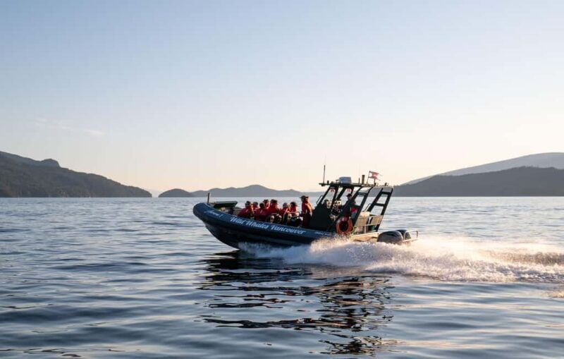 Vancouver: Zodiac Whale Watching Tour from Granville Island - Who Should Consider This Tour?