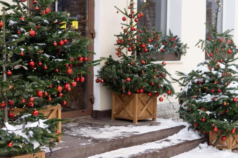 Vancouvers Festive Shoreline: A Christmas Walking Tour - Authentic Feedback from Past Participants