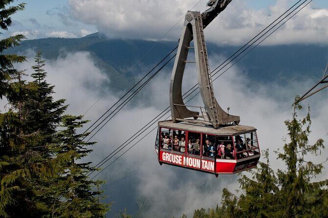 Vancouver's Finest Private Sightseeing Tour - What’s Included and What’s Not
