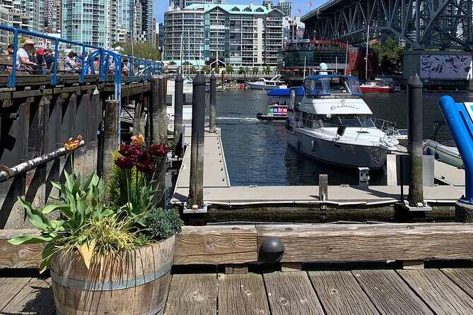 Vancouver's Finest Private Sightseeing Tour - Who Is This Tour Best For?