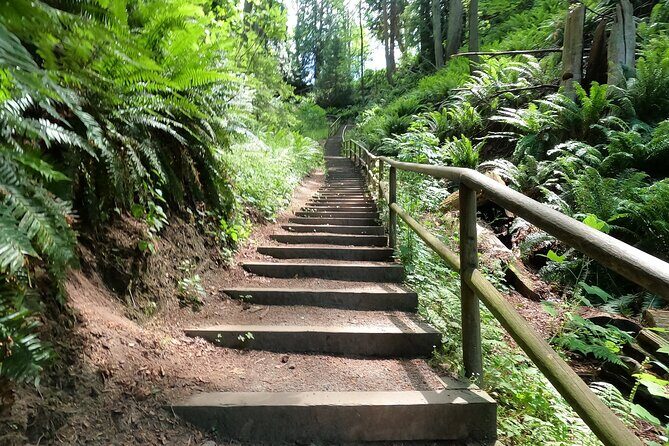Vancouver's Natural Stair Master Workout, With Beach Walk - Vancouvers Natural Stair Master Workout, With Beach Walk — A Practical Review