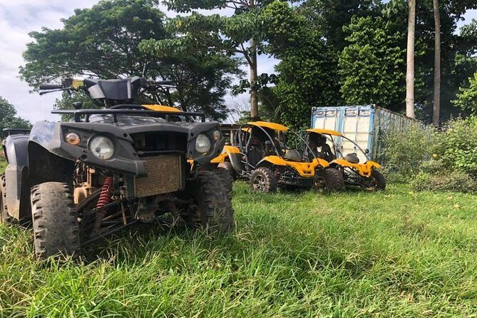 Vanuatu Buggy Adventure with Yumi Tours - Key Points