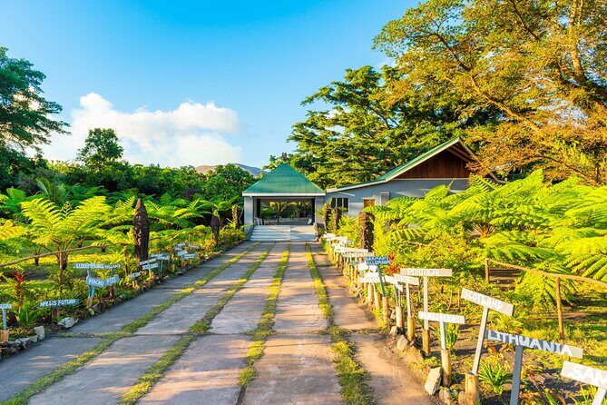 Vanuatu Island Discovery: Full Day Private Shore Tour from Port - A Closer Look at the Tour Itinerary