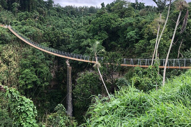 Vanuatu Jungle Zipline, Swing and Skybridge Combo with Transfer - FAQs