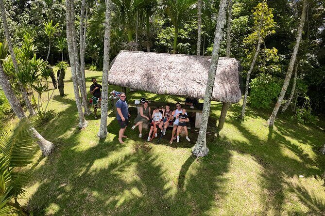 Vanuatu Skybridge with Transfers - Who Would Love This Tour?