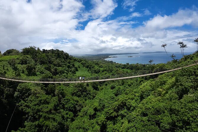 Vanuatu Skybridge with Transfers - Final Thoughts