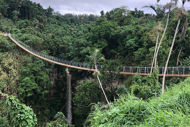 Vanuatu Skybridge with Transfers - FAQs
