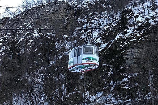 Vardzia caves - Rabati castle - Borjomi park from Tbilisi one-day tour - What Reviewers Say