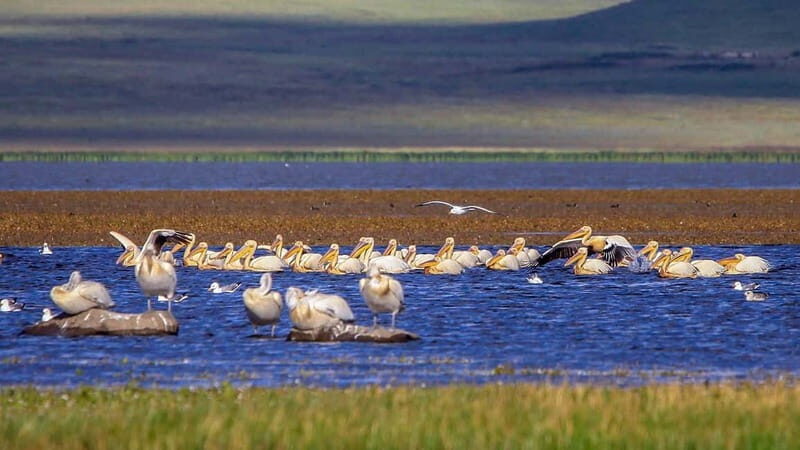 Vardzia. Lake Paravani, Khertvisi & Lomsia castle, Rabati - Who Is This Tour Best For?