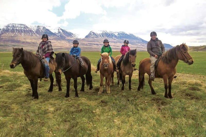 Varmahlid: 1-Hour Icelandic Horse Riding Tour - Key Points