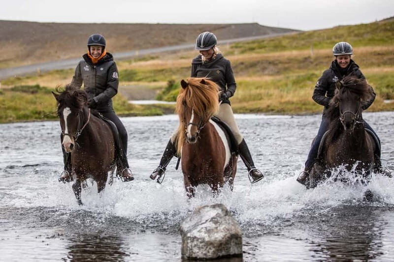 Varmahlid: 1-Hour Icelandic Horse Riding Tour - What to Expect from the Tour