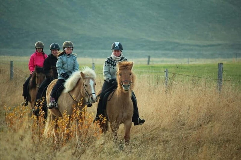 Varmahlid: 1-Hour Icelandic Horse Riding Tour - Final Thoughts: Is This Tour Right for You?