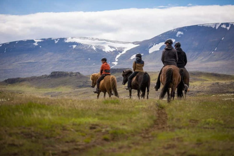 Varmahlid: Viking Horse Riding Tour - Key Points