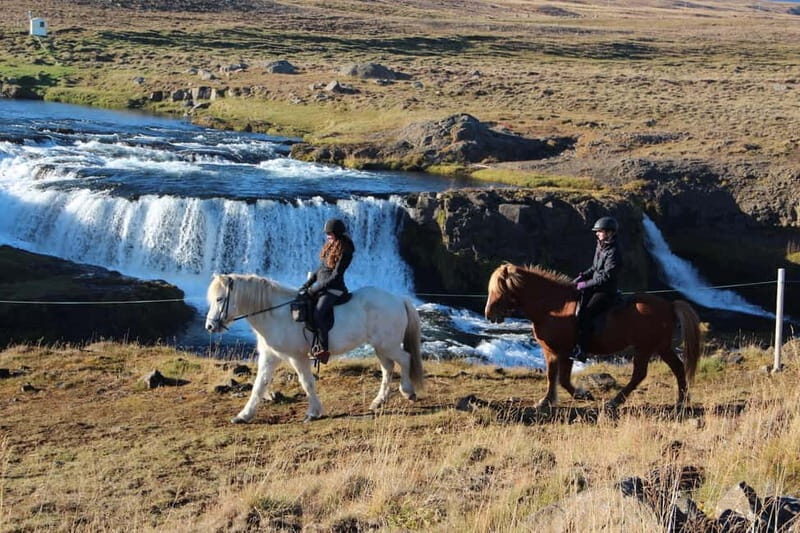 Varmahlid: Viking Horse Riding Tour - Practical Details and Tips