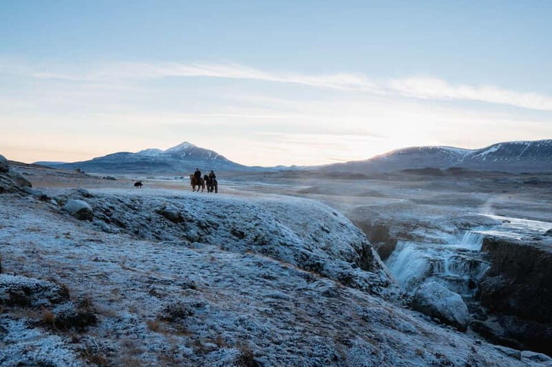 Varmahlid: Viking Horse Riding Tour - Who Would Love This Tour?