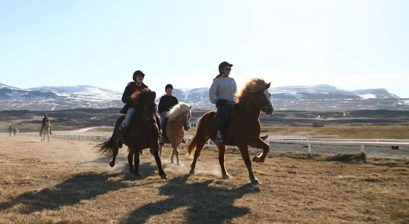 Varmahlid: Viking Horse Riding Tour - FAQ