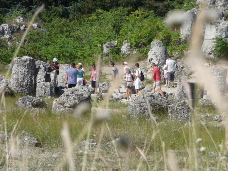 Varna: Guided VIP Tour - Price and Value