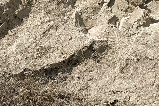 Vashlovani National Park Day Trip from Tbilisi - Who Is This Tour Best For?