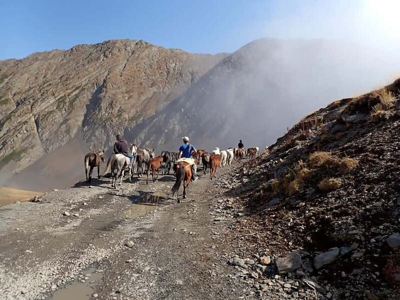 Vashlovani Nature Reserve: Horse Riding Tour - Is This Tour Worth the Price?