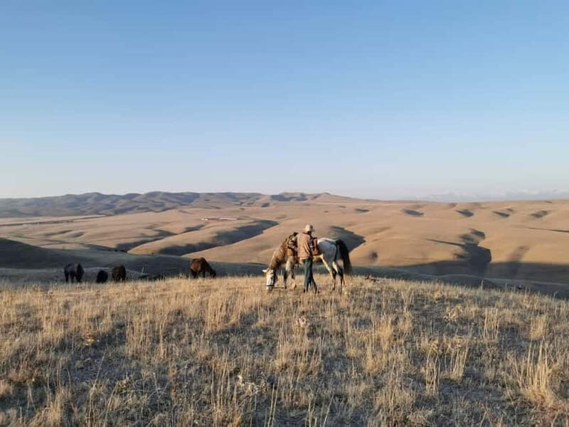 Vashlovani Nature Reserve: Horse Riding Tour - Final Thoughts: Is This the Ride for You?