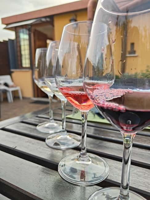 Vatican Pasta Class with wine and tiramisù - The Authentic Roman Flavor and Atmosphere