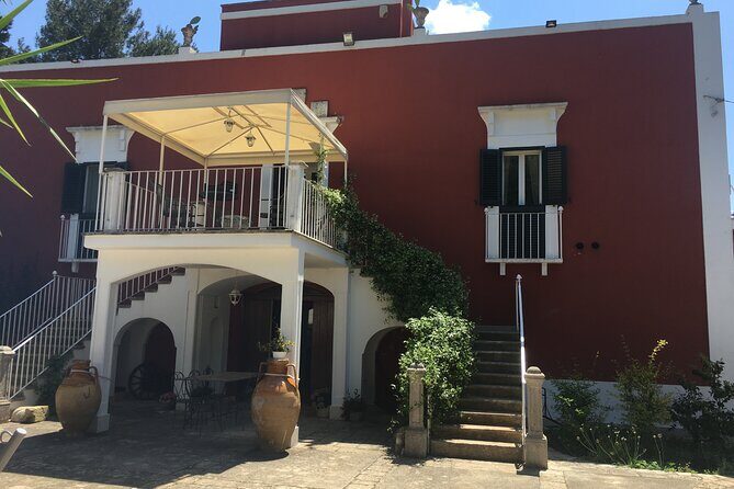 Vegan Charme: Typical Dinner with a Local in Monopoli - Introducing the Vegan Charme: Typical Dinner with a Local in Monopoli