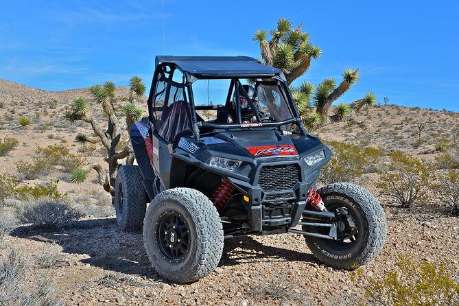 Vegas Desert RZR Adventure with Lunch at the Pioneer Saloon - Exploring Sandy Valley and Goodsprings