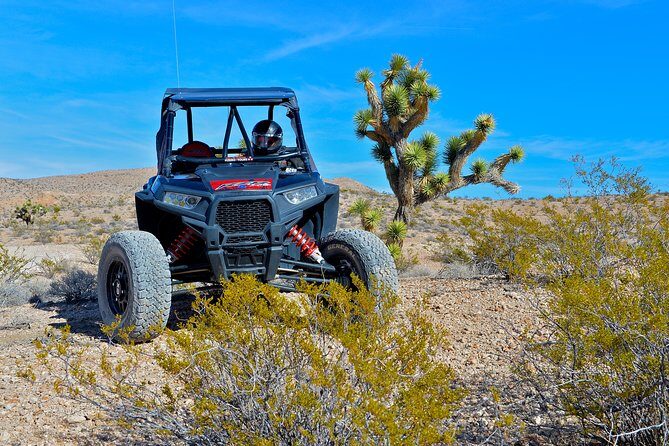 Vegas Desert RZR Adventure with Lunch at the Pioneer Saloon - Final Verdict: Who Will Love This Tour?