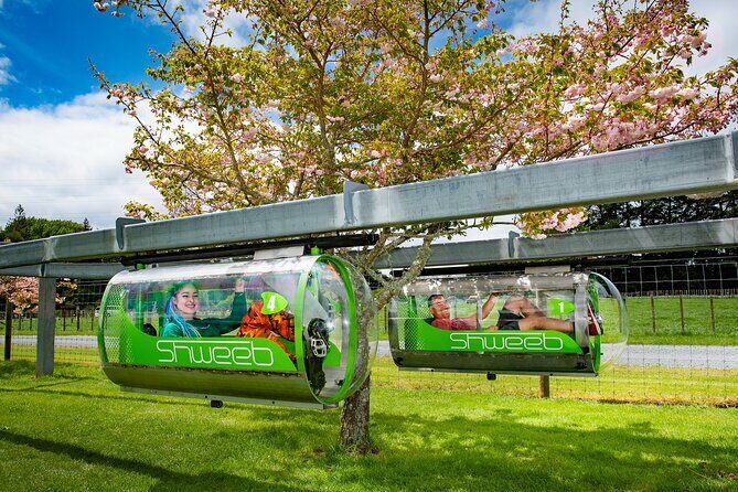 Velocity Valley Rotorua - Authentic Voices from Visitors