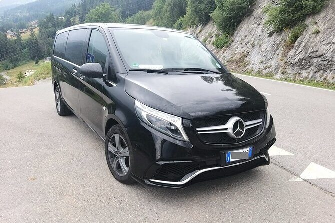 Venice Airport (VCE) to Venice, cruise port - Round-Trip Private Transfer - The Sum Up