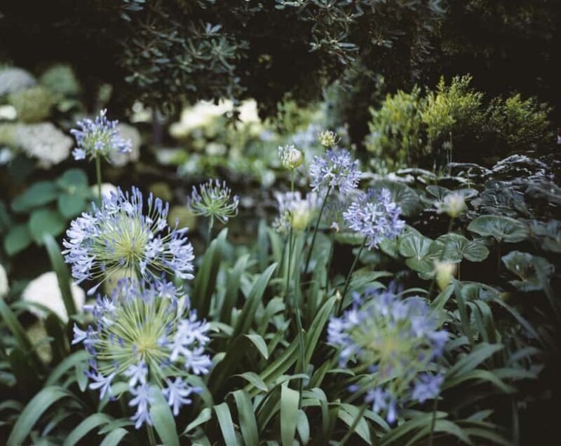 Venice: Convent Garden of Redentore Entry Ticket - Key Points